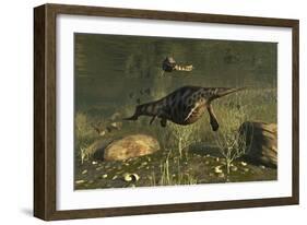 Hupehsuchus Marine Reptiles Swimming in Triassic Waters-Stocktrek Images-Framed Art Print