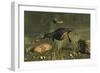 Hupehsuchus Marine Reptiles Swimming in Triassic Waters-Stocktrek Images-Framed Premium Giclee Print