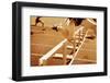 Hurdle Race-soupstock-Framed Photographic Print