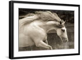 Hurricane 2-Susan Friedman-Framed Giclee Print