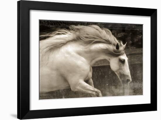 Hurricane 2-Susan Friedman-Framed Giclee Print