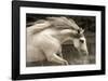 Hurricane 2-Susan Friedman-Framed Giclee Print