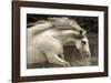 Hurricane 2-Susan Friedman-Framed Giclee Print