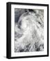 Hurricane Cosme Off Mexico-null-Framed Photographic Print