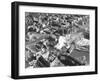 Hurricane Damage-null-Framed Photographic Print