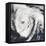 Hurricane Florence-Stocktrek Images-Framed Stretched Canvas