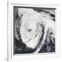 Hurricane Florence-Stocktrek Images-Framed Photographic Print