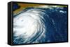 Hurricane Floyd-null-Framed Stretched Canvas