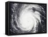 Hurricane Frances-Stocktrek Images-Framed Stretched Canvas