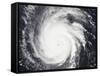 Hurricane Frances-Stocktrek Images-Framed Stretched Canvas