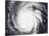 Hurricane Frances-Stocktrek Images-Stretched Canvas