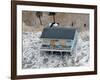 Hurricane Ike, Galveston, TX-null-Framed Photographic Print