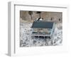 Hurricane Ike, Galveston, TX-null-Framed Photographic Print