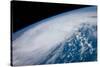 Hurricane Irene from Space Art Print Poster-null-Stretched Canvas