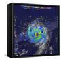 Hurricane Irma Rainfall, 3D Satellite Image-null-Framed Stretched Canvas