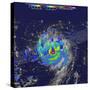 Hurricane Irma Rainfall, 3D Satellite Image-null-Stretched Canvas