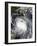 Hurricane Katrina-Stocktrek Images-Framed Photographic Print