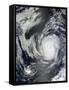 Hurricane Marie Off Mexico-null-Framed Stretched Canvas
