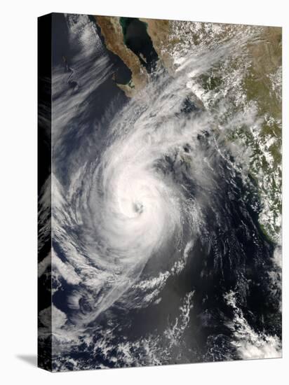 Hurricane Norbert Off Mexico, October 10, 2008-Stocktrek Images-Stretched Canvas