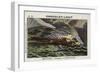 Hurricane on Martinique-null-Framed Giclee Print