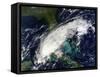 Hurricane Paula-Stocktrek Images-Framed Stretched Canvas