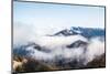 Hurricane Ridge II-Laura Marshall-Mounted Photographic Print