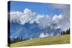 Hurricane Ridge, Olympic National Park, UNESCO World Heritage Site-Richard Maschmeyer-Stretched Canvas