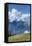 Hurricane Ridge, Olympic National Park, UNESCO World Heritage Site-Richard Maschmeyer-Framed Stretched Canvas