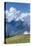 Hurricane Ridge, Olympic National Park, UNESCO World Heritage Site-Richard Maschmeyer-Stretched Canvas