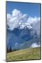 Hurricane Ridge, Olympic National Park, UNESCO World Heritage Site-Richard Maschmeyer-Mounted Photographic Print