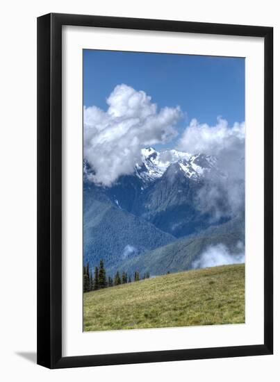 Hurricane Ridge, Olympic National Park, UNESCO World Heritage Site-Richard Maschmeyer-Framed Photographic Print