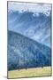 Hurricane Ridge, Olympic National Park, UNESCO World Heritage Site-Richard Maschmeyer-Mounted Photographic Print