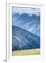 Hurricane Ridge, Olympic National Park, UNESCO World Heritage Site-Richard Maschmeyer-Framed Photographic Print