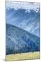 Hurricane Ridge, Olympic National Park, UNESCO World Heritage Site-Richard Maschmeyer-Mounted Photographic Print