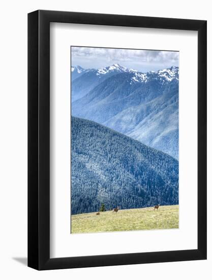 Hurricane Ridge, Olympic National Park, UNESCO World Heritage Site-Richard Maschmeyer-Framed Photographic Print