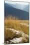 Hurricane Ridge, Olympic National Park, Washington, Usa-Natalie Tepper-Mounted Photo