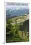 Hurricane Ridge, Olympic National Park, Washington-Lantern Press-Framed Art Print