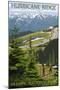Hurricane Ridge, Olympic National Park, Washington-Lantern Press-Mounted Art Print