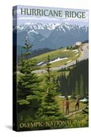 Hurricane Ridge, Olympic National Park, Washington-Lantern Press-Stretched Canvas