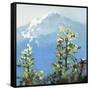 Hurricane Ridge-Max Hayslette-Framed Stretched Canvas