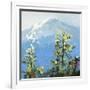 Hurricane Ridge-Max Hayslette-Framed Giclee Print