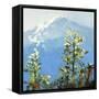 Hurricane Ridge-Max Hayslette-Framed Stretched Canvas