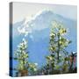 Hurricane Ridge-Max Hayslette-Stretched Canvas