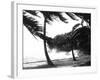 Hurricane Waves Strike the Seawall-null-Framed Photo