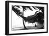 Hurricane Waves Strike the Seawall-null-Framed Premium Giclee Print