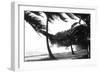 Hurricane Waves Strike the Seawall-null-Framed Premium Giclee Print