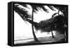 Hurricane Waves Strike the Seawall-null-Framed Stretched Canvas