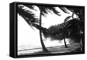 Hurricane Waves Strike the Seawall-null-Framed Stretched Canvas