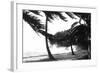 Hurricane Waves Strike the Seawall-null-Framed Art Print