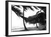 Hurricane Waves Strike the Seawall-null-Framed Art Print